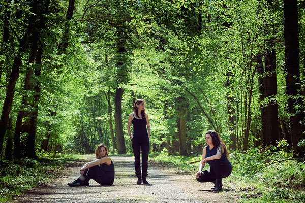 Ensemble Vertebræ (México)