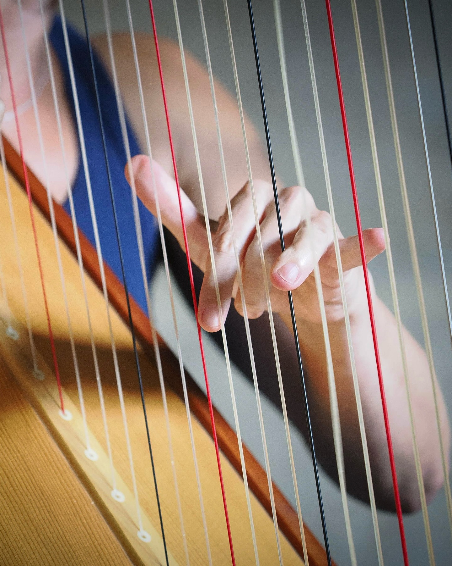 Compartimos la convocatoria del V Premio Internacional de Composición «Portus Apostoli» para arpa solista y orquesta de cuerda
